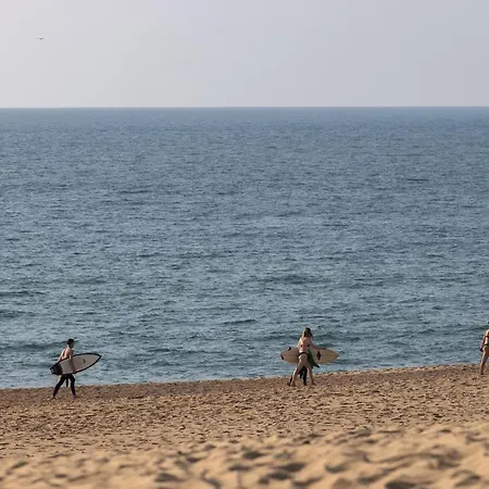 Village La Forêt Des Landes Tarnos